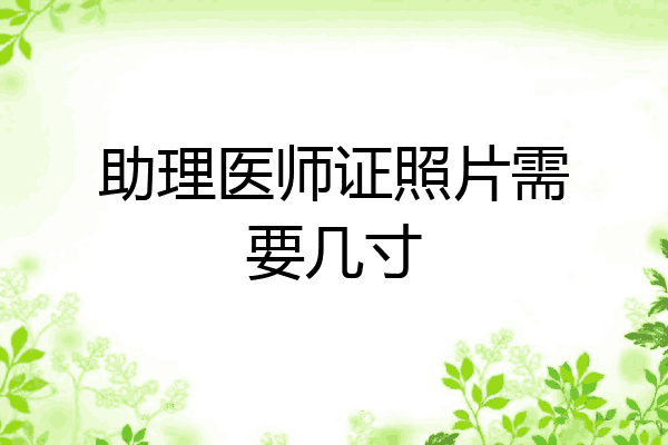 助理医师证照片需要几寸