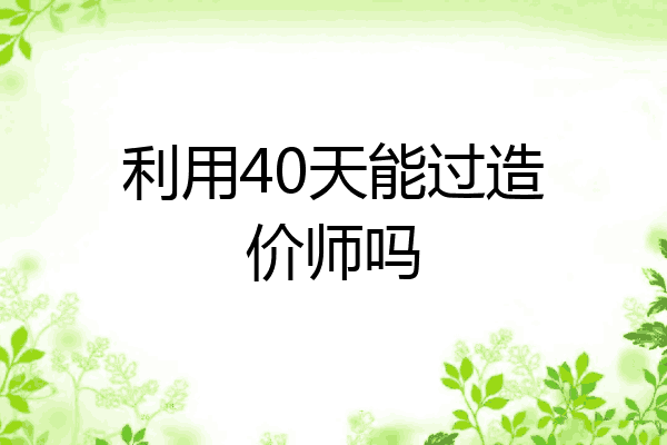利用40天能过造价师吗