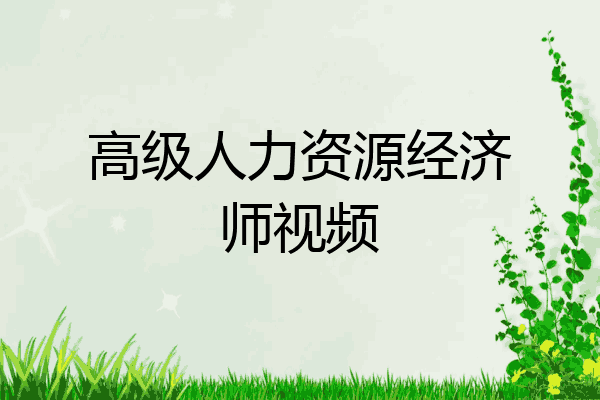 高级人力资源经济师视频