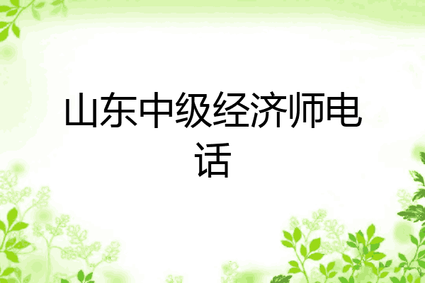 山东中级经济师电话