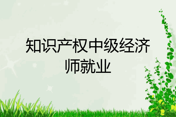 知识产权中级经济师就业