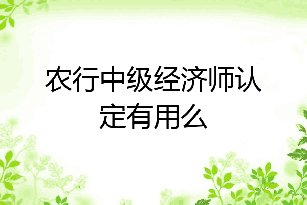 农行中级经济师认定有用么