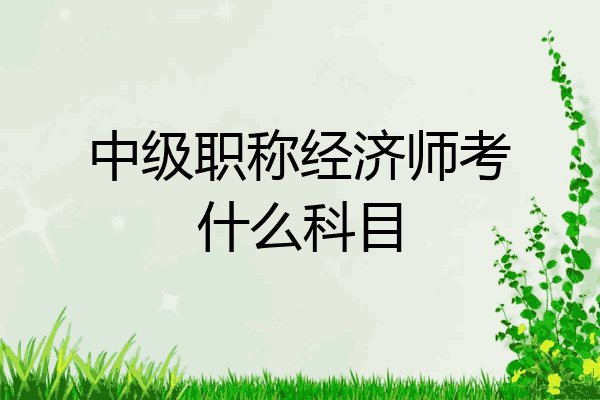 中级职称经济师考什么科目