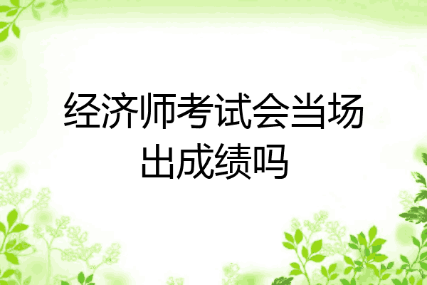 经济师考试会当场出成绩吗
