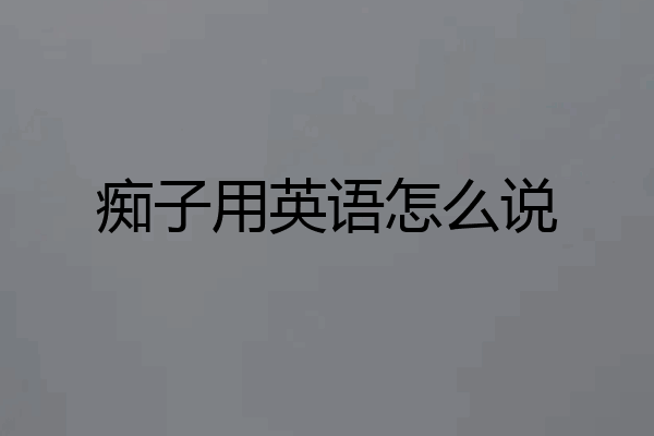 痴子用英语怎么说