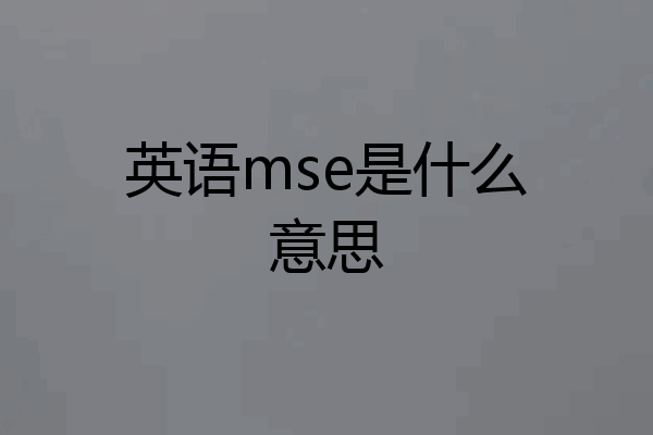 英语mse是什么意思