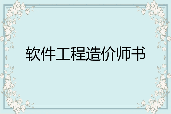 软件工程造价师书