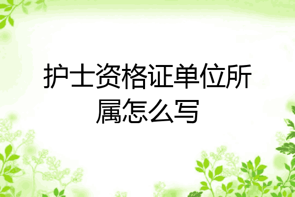 护士资格证单位所属怎么写