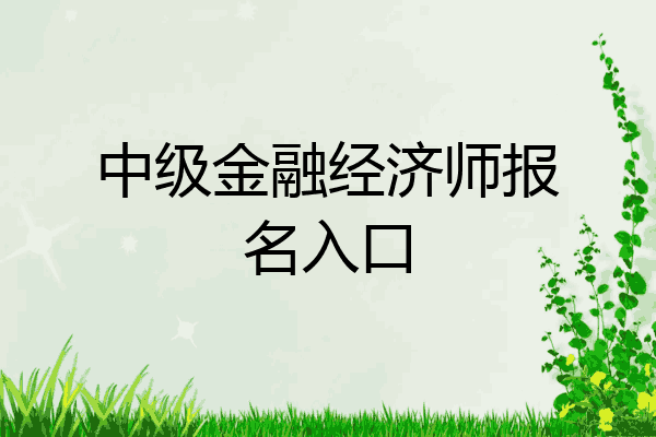 中级金融经济师报名入口