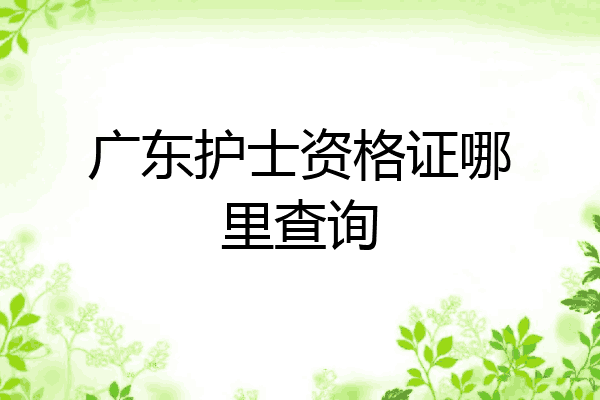 广东护士资格证哪里查询