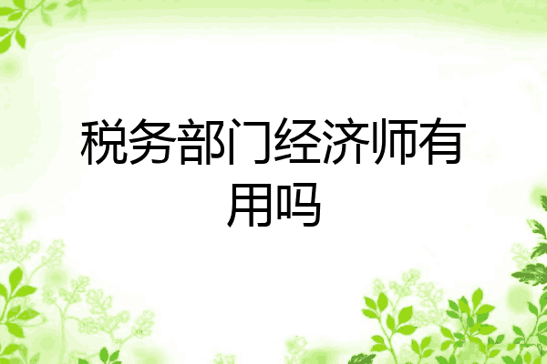 税务部门经济师有用吗