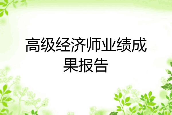 高级经济师业绩成果报告