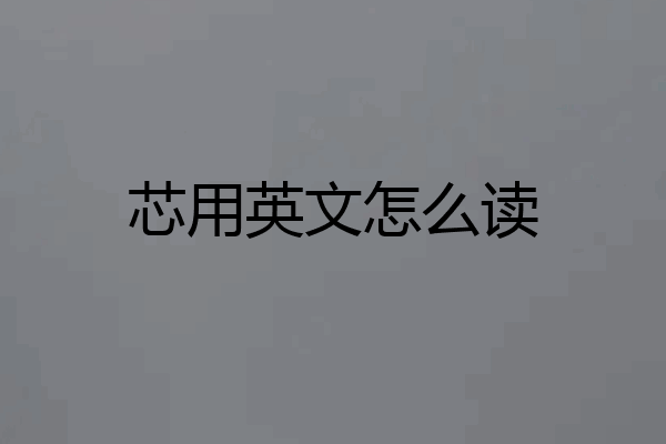 芯用英文怎么读
