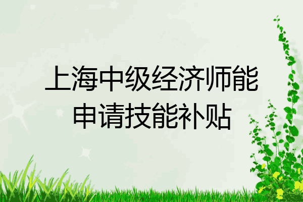 上海中级经济师能申请技能补贴