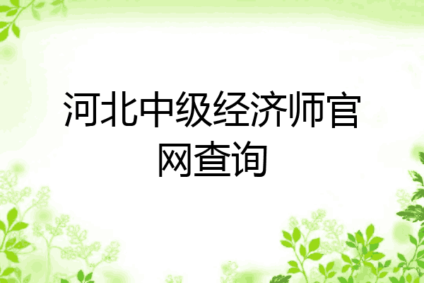 河北中级经济师官网查询