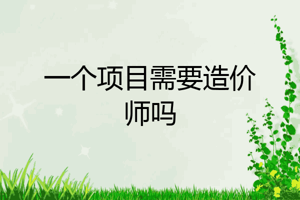 一个项目需要造价师吗