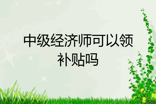 中级经济师可以领补贴吗