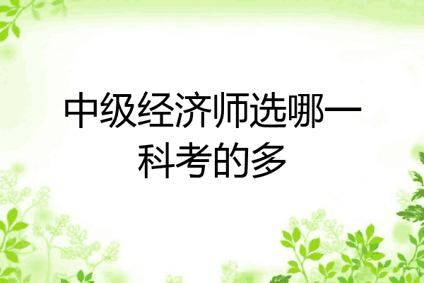 中级经济师选哪一科考的多