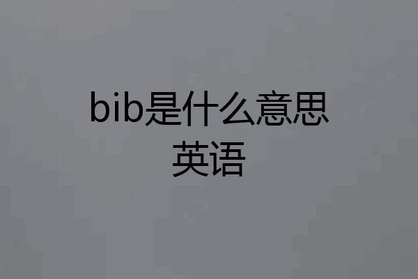 bib是什么意思英语