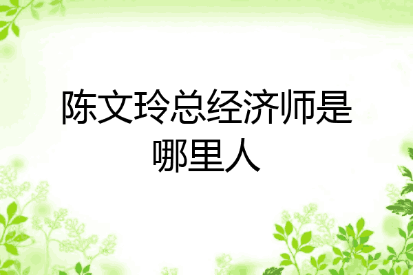陈文玲总经济师是哪里人