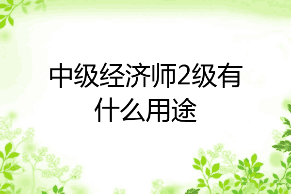 中级经济师2级有什么用途