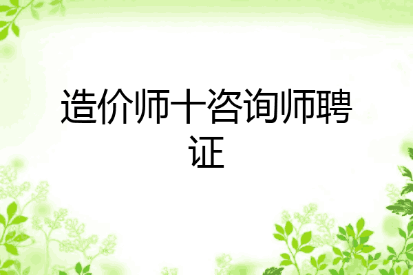 造价师十咨询师聘证