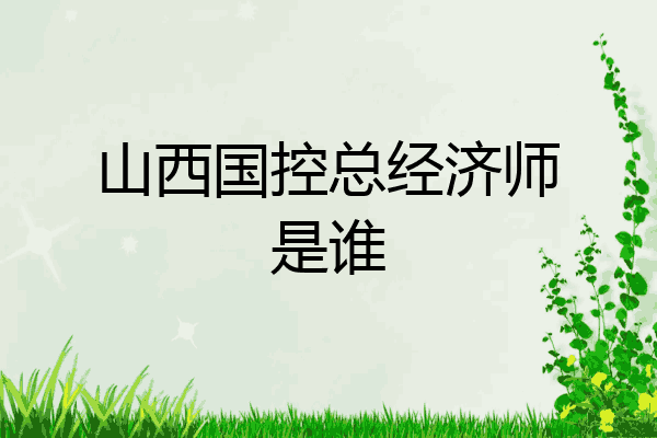山西国控总经济师是谁