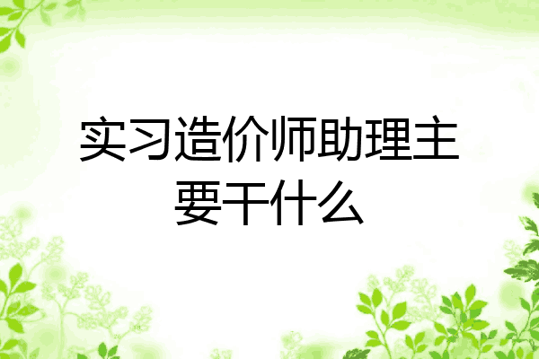 实习造价师助理主要干什么