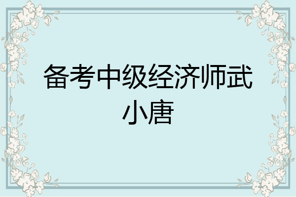 备考中级经济师武小唐
