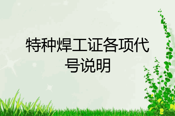 特种焊工证各项代号说明
