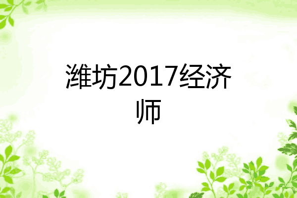 潍坊2017经济师