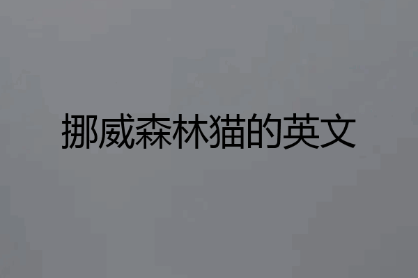 挪威森林猫的英文