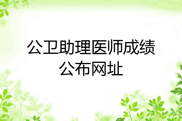 公卫助理医师成绩公布网址