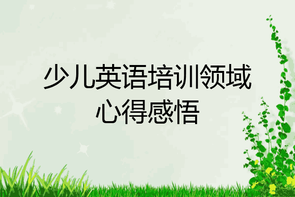 少儿英语培训领域心得感悟