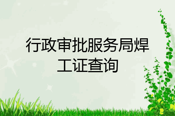 行政审批服务局焊工证查询
