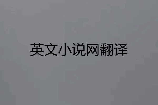 英文小说网翻译