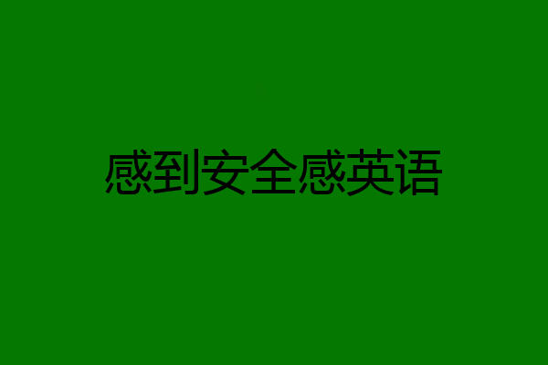 感到安全感英语