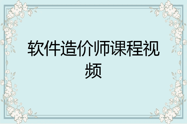软件造价师课程视频