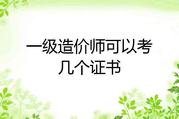 一级造价师可以考几个证书