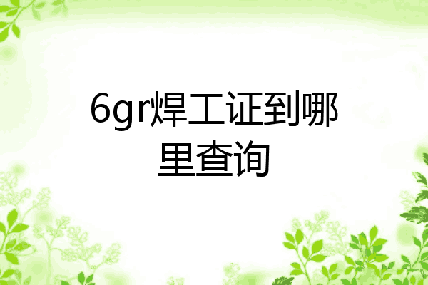6gr焊工证到哪里查询