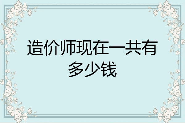 造价师现在一共有多少钱
