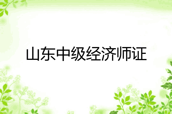 山东中级经济师证