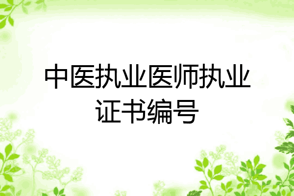 中医执业医师执业证书编号