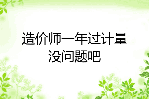造价师一年过计量没问题吧