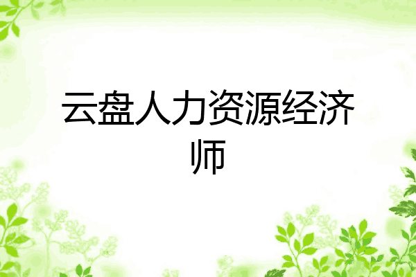 云盘人力资源经济师