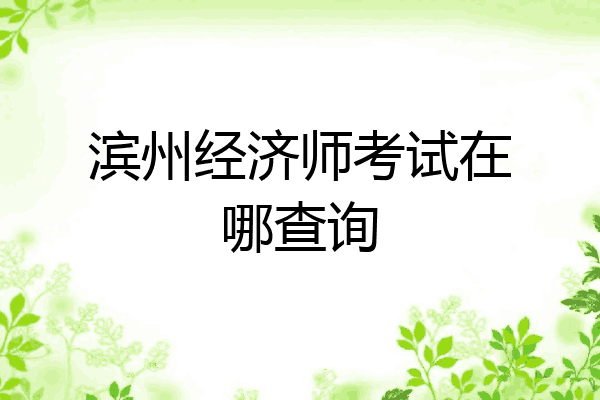 滨州经济师考试在哪查询