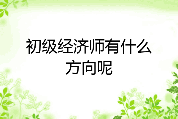 初级经济师有什么方向呢