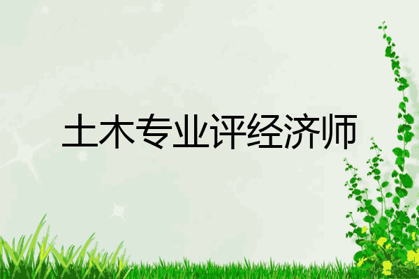 土木专业评经济师