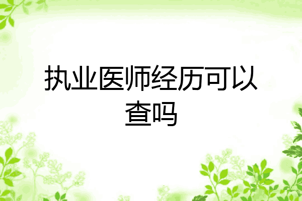 执业医师经历可以查吗