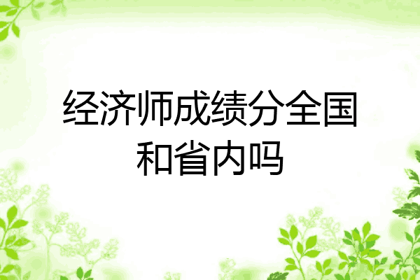 经济师成绩分全国和省内吗